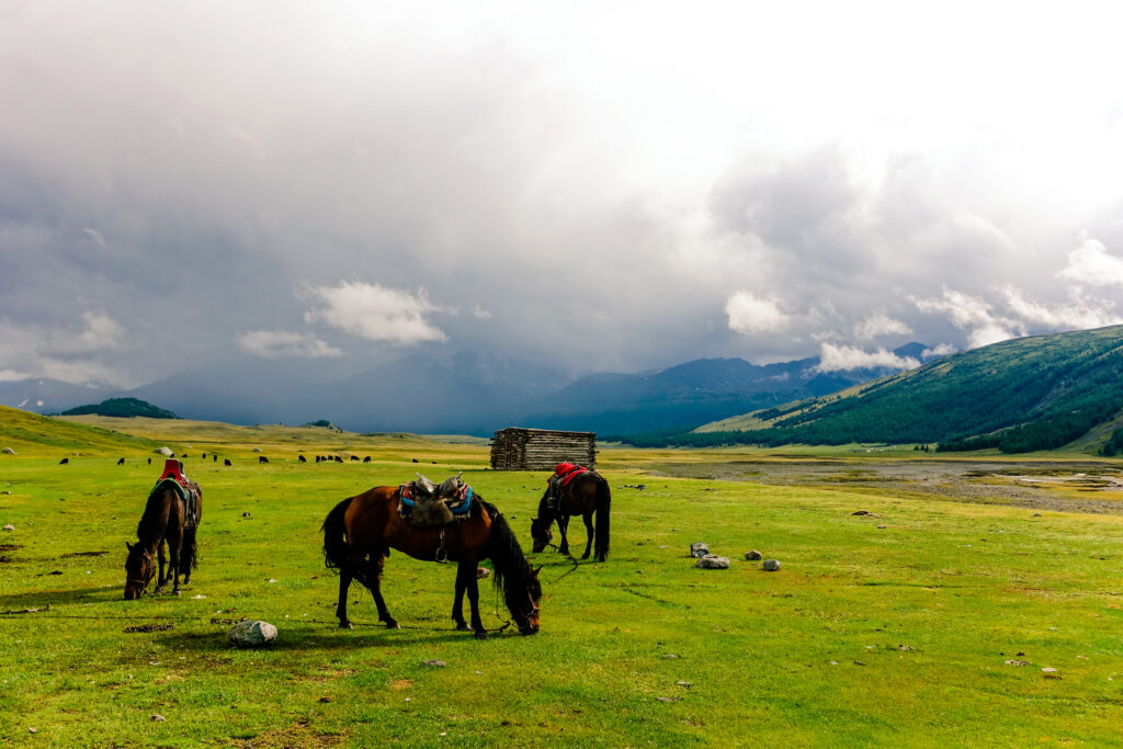 Western Mongolia tour