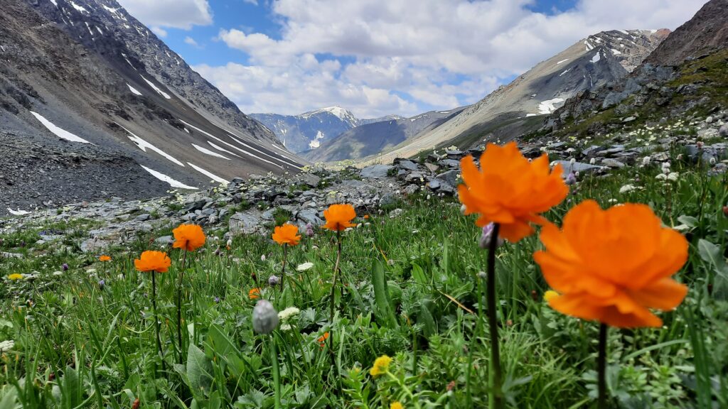  the Nomadic Way of Life