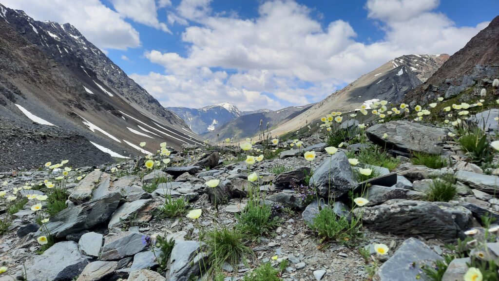  the Nomadic Way of Life