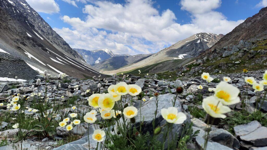  the Nomadic Way of Life