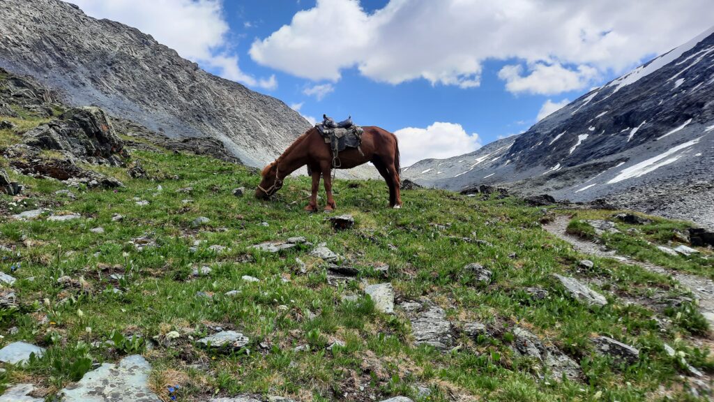  the Nomadic Way of Life