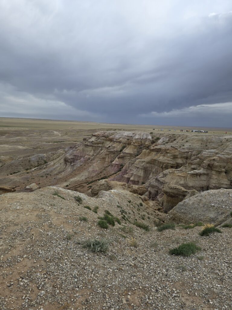 Gobi & western Mongolia