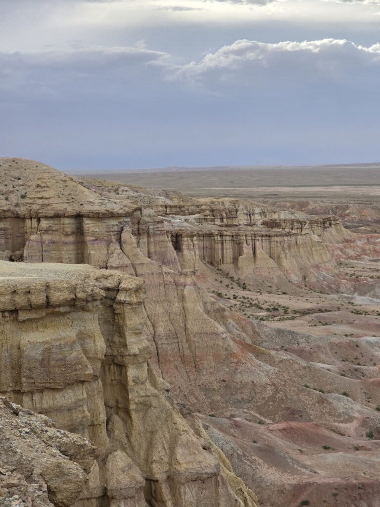 Gobi & western Mongolia