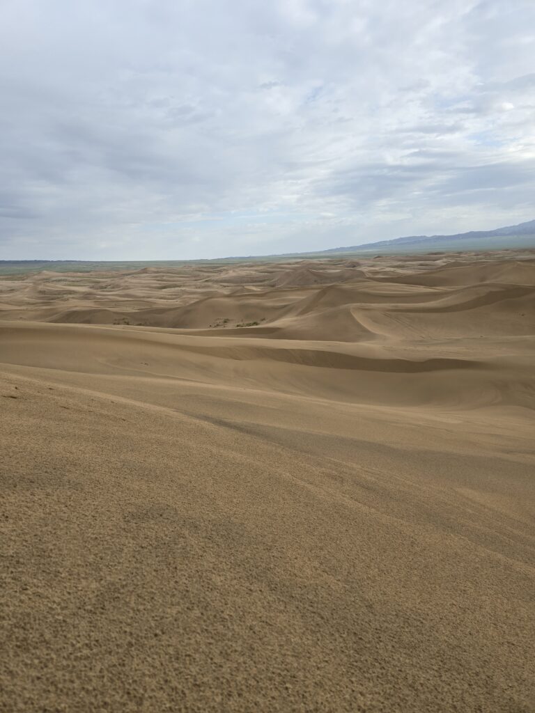 Gobi & western Mongolia