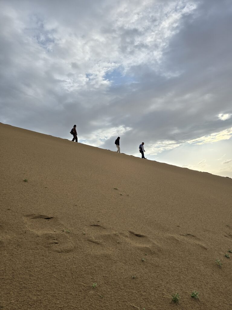 Gobi Desert Tour, Mongolia
