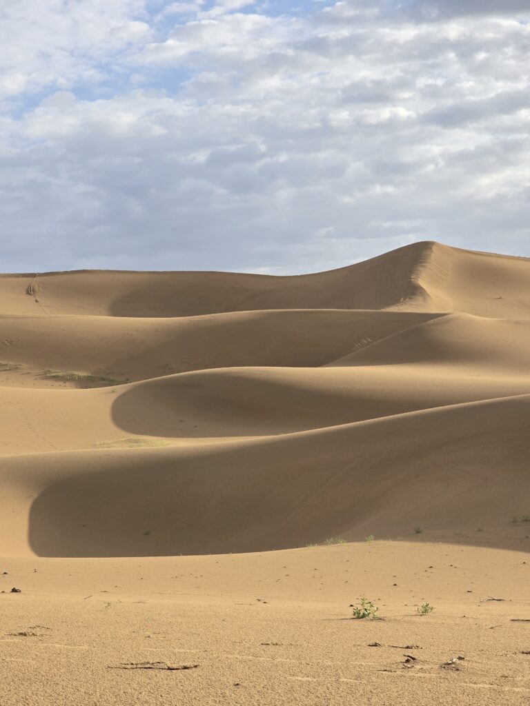 Gobi desert & western Mongolia