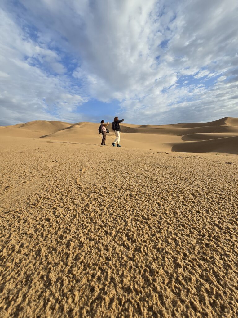 Gobi & western Mongolia