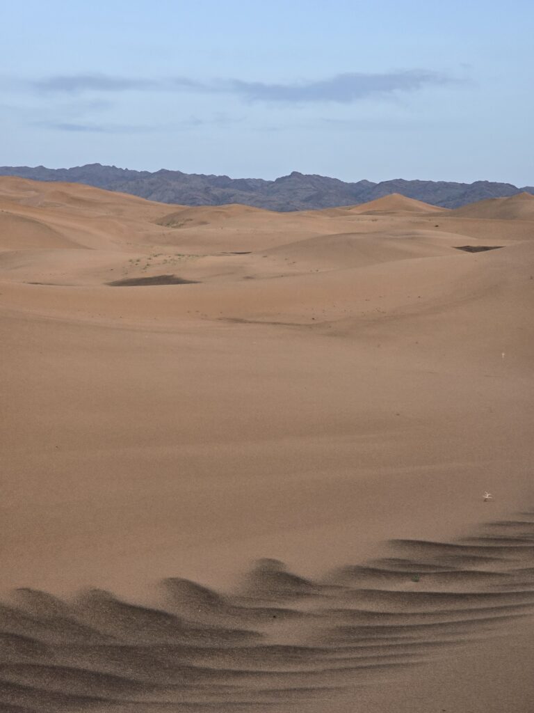 Gobi desert & western Mongolia