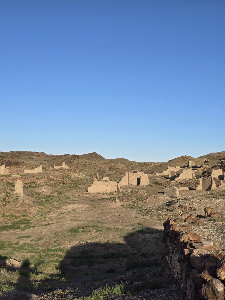 Gobi & western Mongolia