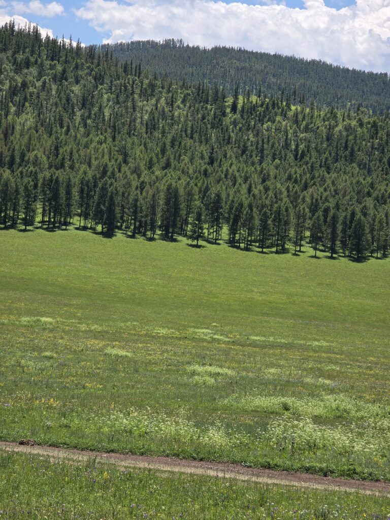 Gobi desert & western Mongolia