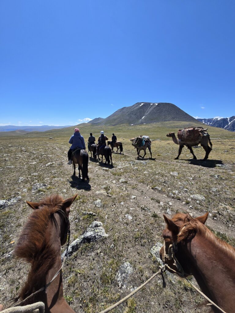 The Test of Mongolia Tour                    Gobi & western Mongolia