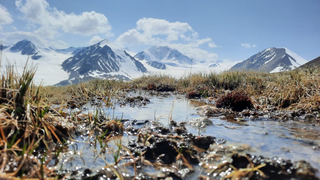 Western Mongolia Altai Tavan Bogd Mountain Five Days Driving and Hiking Tour