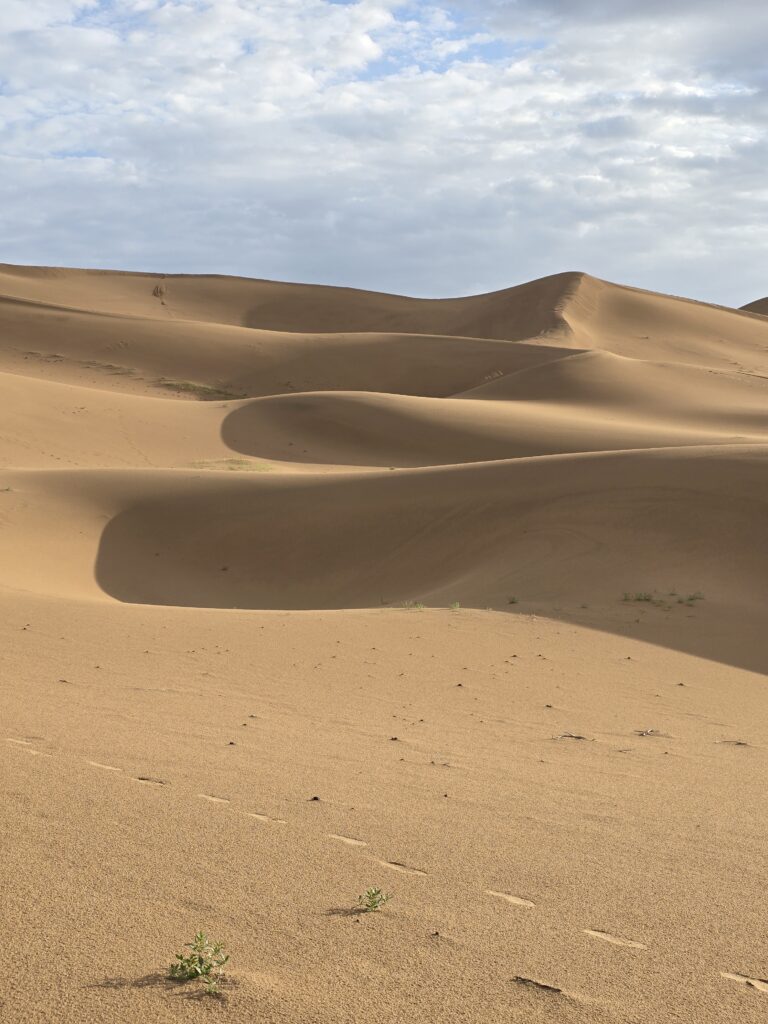 western Mongolia Eagle hunter tour
western Mongolia Golden Eagle festival tour golden eagle hunter tour eagle festival tour eagle hunter