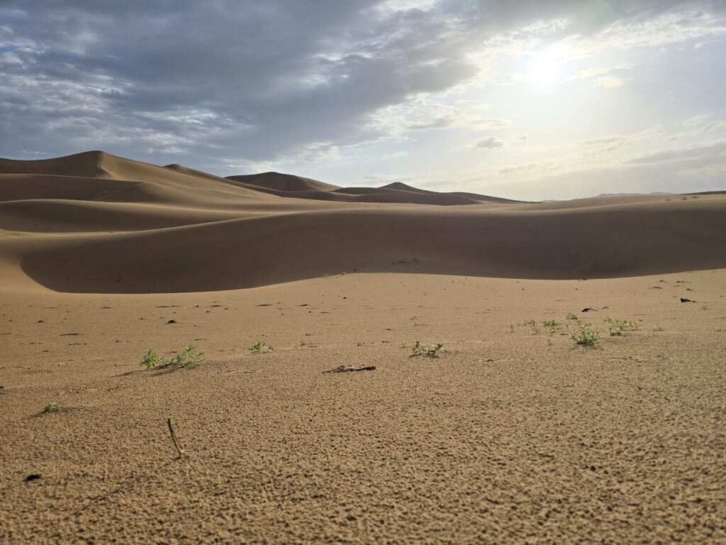 adventure, Mongolia winter migration, horseback eagle hunting, Mongolian Altai tour, nomadic lifestyle Mongolia, Mongolia cultural tour, Mongolia nature photography