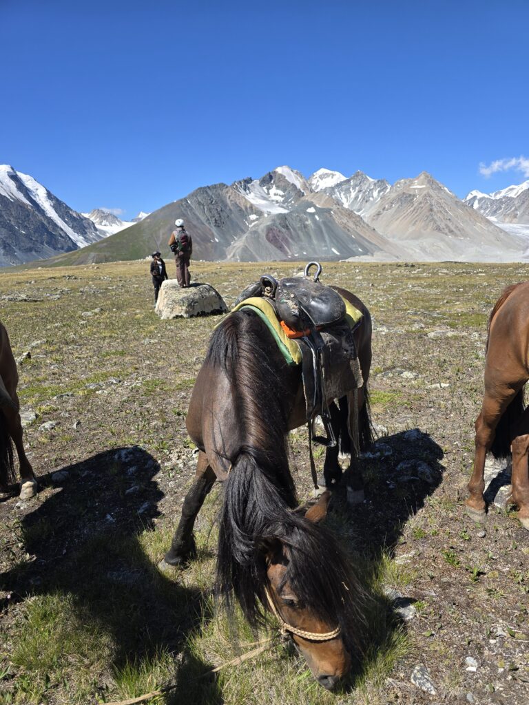 Gobi desert & western Mongolia Mongolia Gobi desert tours Western Mongolia tour Gobi and western Mongolia tour Gobi desert tour Mongolia eagle hunter tour Mongolia Eagle festival tour western Mongolia