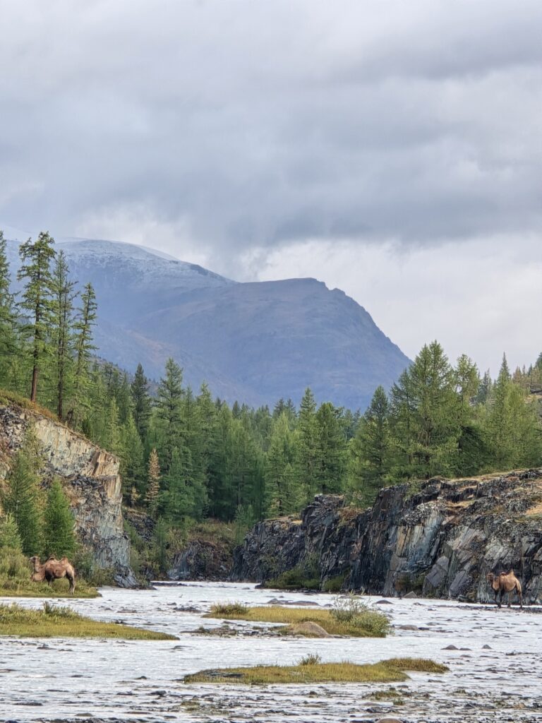 Gobi desert & western Mongolia Mongolia Gobi desert tours Western Mongolia tour Gobi and western Mongolia tour Gobi desert tour Mongolia eagle hunter tour Mongolia Eagle festival tour western Mongolia