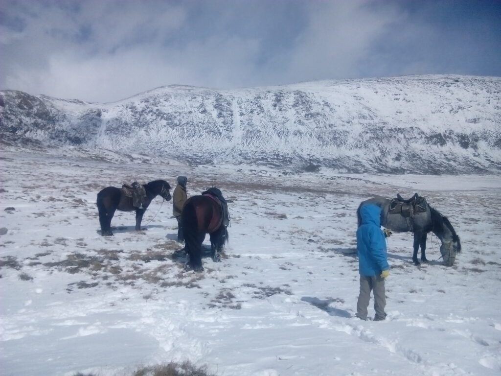 Western Mongolia tour, Mongolia nomadic migration, Tsengel Village tour, Kazakh eagle hunters, Altai Mountains adventure, Mongolia winter migration, horseback eagle hunting, Mongolian Altai tour, nomadic lifestyle Mongolia, Mongolia cultural tour, Mongolia nature photography