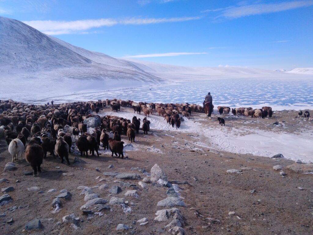 Western Mongolia tour, Mongolia nomadic migration, Tsengel Village tour, Kazakh eagle hunters, Altai Mountains adventure, Mongolia winter migration, horseback eagle hunting, Mongolian Altai tour, nomadic lifestyle Mongolia, Mongolia cultural tour, Mongolia nature photography